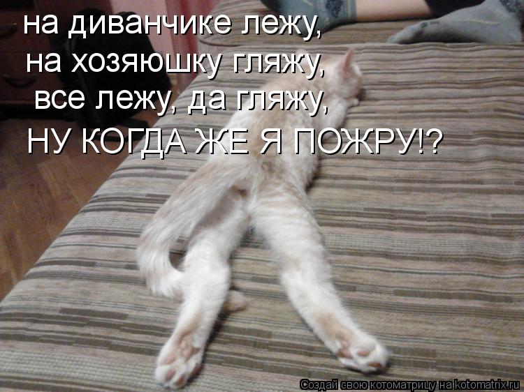 на диванчике лежу, на хозяюшку гляжу, все лежу, да гляжу, НУ КОГДА ЖЕ Я ПОЖРУ!?... Котоматрица: на диванчике лежу, на хозяюшку гляжу, все лежу, да гляжу, НУ КОГДА ЖЕ Я ПОЖРУ!?