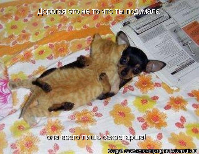 Дорогая это не то что ты подумала она всего лишь секретарша!... Котоматрица: Дорогая это не то что ты подумала она всего лишь секретарша!