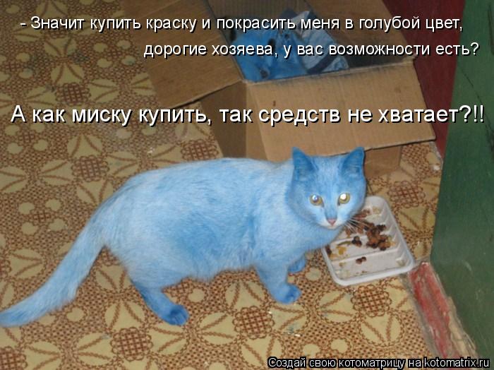 - Значит купить краску и покрасить меня в голубой цвет, дорогие хозяева, у вас возможности есть? А ка... Котоматрица: - Значит купить краску и покрасить меня в голубой цвет, дорогие хозяева, у вас возможности есть? А как миску купить, так средств не хватает?!!