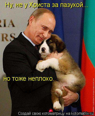 Ну, не у Христа за пазухой... но тоже неплохо.... Котоматрица: Ну, не у Христа за пазухой... но тоже неплохо.