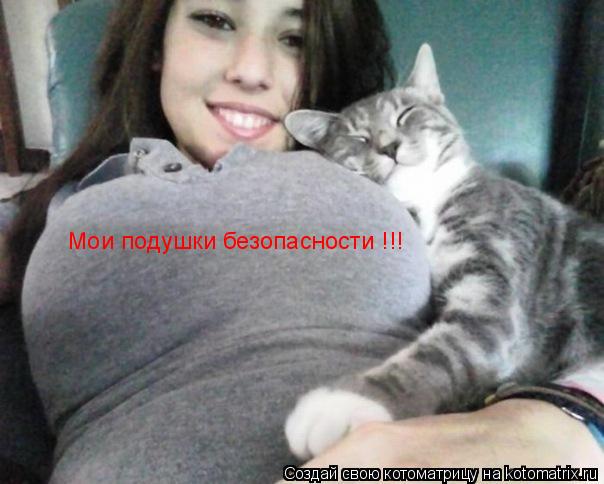 Мои подушки безопасности !!!... Котоматрица: Мои подушки безопасности !!!