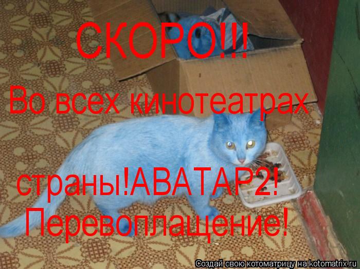 СКОРО!!! Во всех кинотеатрах страны!АВАТАР2! Перевоплащение!... Котоматрица: СКОРО!!! Во всех кинотеатрах страны!АВАТАР2! Перевоплащение!