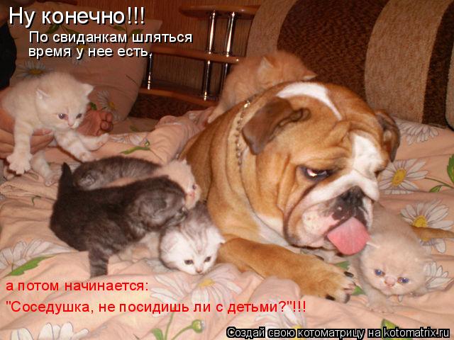 Ну конечно!!! По свиданкам шляться время у нее есть, а потом начинается: "Соседушка, не посидишь ли с... Котоматрица: Ну конечно!!! По свиданкам шляться время у нее есть, а потом начинается: "Соседушка, не посидишь ли с детьми?"!!!