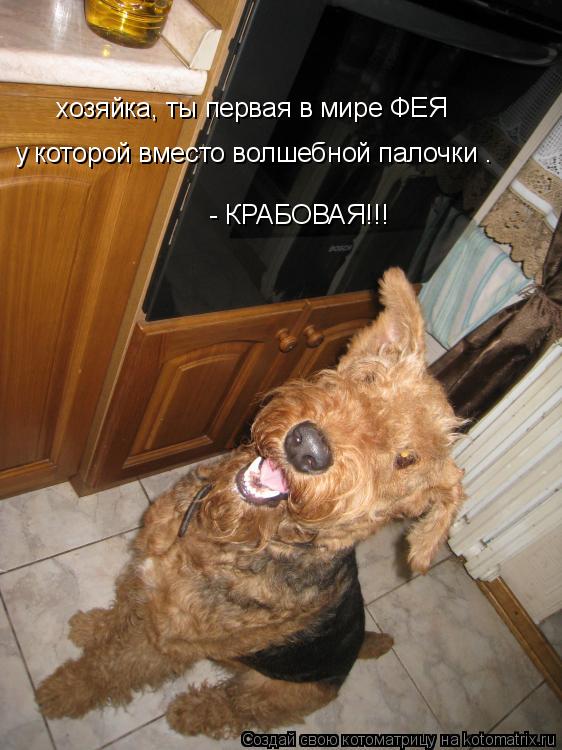 хозяйка, ты первая в мире ФЕЯ у которой вместо волшебной палочки — - КРАБОВАЯ!!!... Котоматрица: хозяйка, ты первая в мире ФЕЯ у которой вместо волшебной палочки — - КРАБОВАЯ!!!