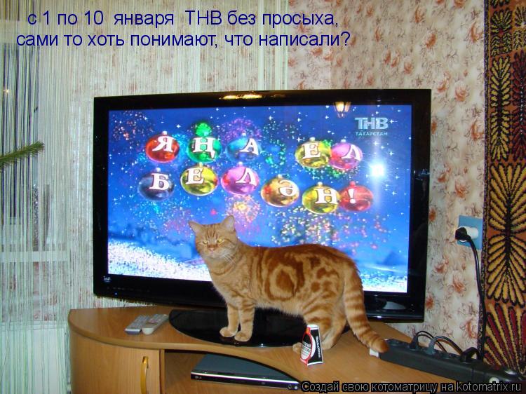с 1 по 10 января ТНВ без просыха, сами то хоть понимают, что написали?... Котоматрица: с 1 по 10 января ТНВ без просыха, сами то хоть понимают, что написали?