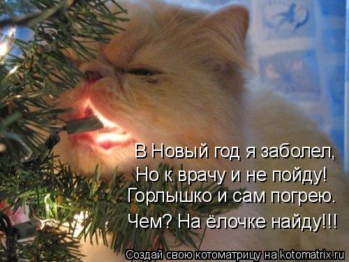 В Новый год я заболел, Но к врачу и не пойду! Чем? На ёлочке найду!!! Горлышко и сам погрею.... Котоматрица: В Новый год я заболел, Но к врачу и не пойду! Чем? На ёлочке найду!!! Горлышко и сам погрею.