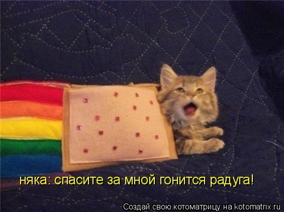 няка: спасите за мной гонится радуга!... Котоматрица: няка: спасите за мной гонится радуга!