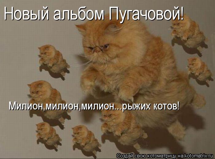 Новый альбом Пугачовой! Милион,милион,милион...рыжих котов!... Котоматрица: Новый альбом Пугачовой! Милион,милион,милион...рыжих котов!