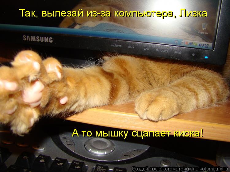 Так, вылезай из-за компьютера, Лизка А то мышку сцапает киска!... Котоматрица: Так, вылезай из-за компьютера, Лизка А то мышку сцапает киска!