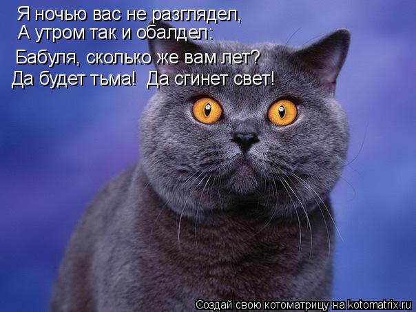 Я ночью вас не разглядел, А утром так и обалдел: «Бабуля, сколько же вам лет?» Да будет тьма! Да сг... Котоматрица: Я ночью вас не разглядел, А утром так и обалдел: «Бабуля, сколько же вам лет?» Да будет тьма! Да сгинет свет! Да будет тьма! Да сгинет свет!