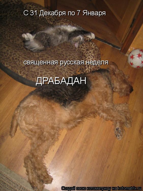 С 31 Декабря по 7 Января священная русская неделя ДРАБАДАН... Котоматрица: С 31 Декабря по 7 Января священная русская неделя ДРАБАДАН