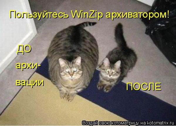 Пользуйтесь WinZip архиватором! ДО архи- вации ПОСЛЕ... Котоматрица: Пользуйтесь WinZip архиватором! ДО архи- вации ПОСЛЕ