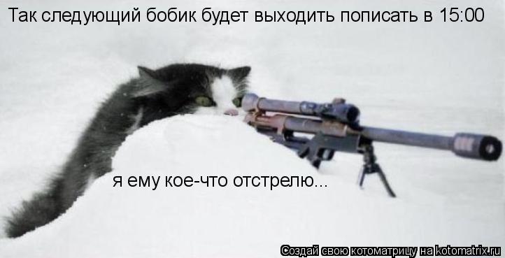 Так следующий бобик будет выходить пописать в 15:00 я ему кое-что отстрелю...... Котоматрица: Так следующий бобик будет выходить пописать в 15:00 я ему кое-что отстрелю...
