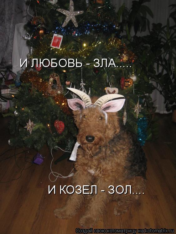 И ЛЮБОВЬ - ЗЛА..... И КОЗЕЛ - ЗОЛ....... Котоматрица: И ЛЮБОВЬ - ЗЛА..... И КОЗЕЛ - ЗОЛ....