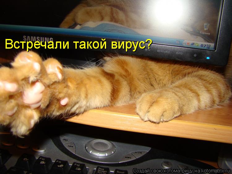 Встречали такой вирус?... Котоматрица: Встречали такой вирус?