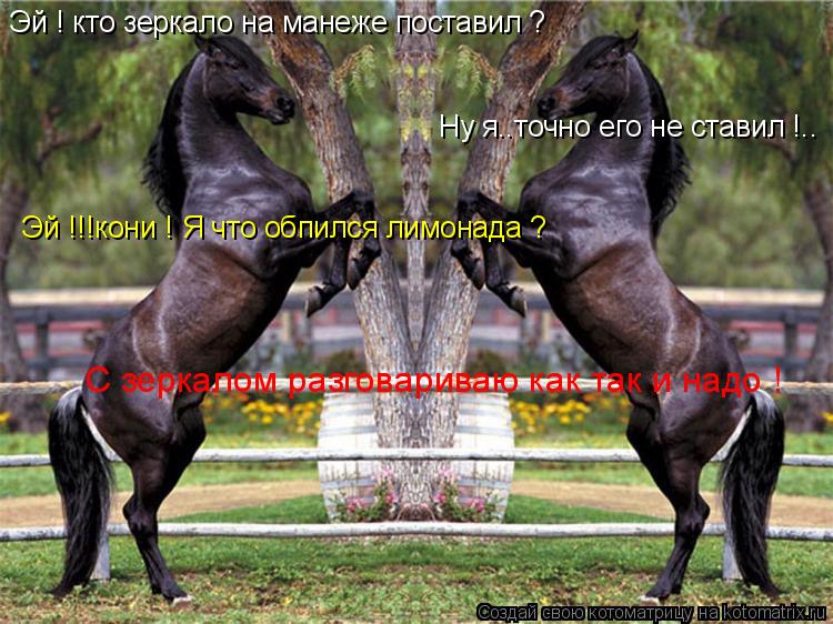 Эй ! кто зеркало на манеже поставил ? Ну я..точно его не ставил !.. Эй !!!кони ! Я что обпился лимона... Котоматрица: Эй ! кто зеркало на манеже поставил ? Ну я..точно его не ставил !.. Эй !!!кони ! Я что обпился лимонада ? С зеркалом разговариваю как так и надо !