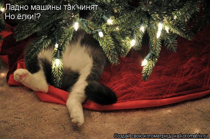Ладно машины так чинят Но ёлки!?... Котоматрица: Ладно машины так чинят Но ёлки!?