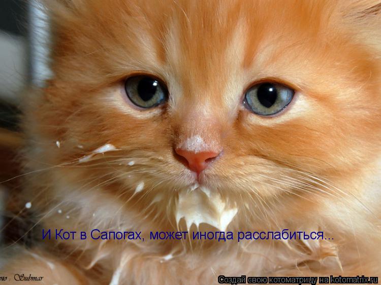 И Кот в Сапогах, может иногда расслабиться...... Котоматрица: И Кот в Сапогах, может иногда расслабиться...