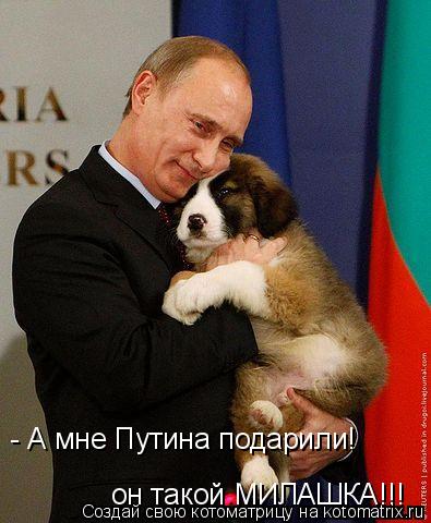 - А мне Путина подарили! он такой МИЛАШКА!!!... Котоматрица: - А мне Путина подарили! он такой МИЛАШКА!!!