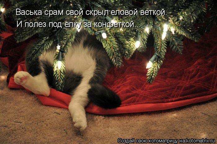Васька срам свой скрыл еловой веткой. И полез под елку за конфеткой...... Котоматрица: Васька срам свой скрыл еловой веткой. И полез под елку за конфеткой...