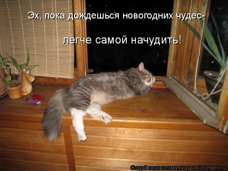 Эх, пока дождешься новогодних чудес- легче самой начудить!... Котоматрица: Эх, пока дождешься новогодних чудес- легче самой начудить!