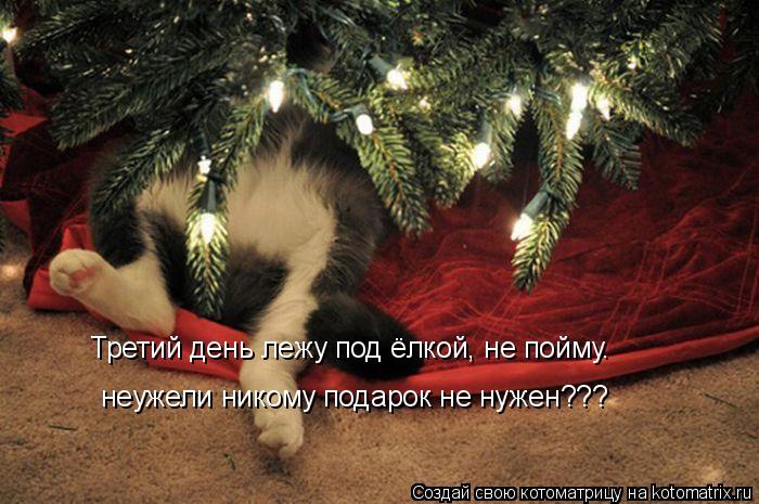 Третий день лежу под ёлкой, не пойму… неужели никому подарок не нужен???... Котоматрица: Третий день лежу под ёлкой, не пойму… неужели никому подарок не нужен???