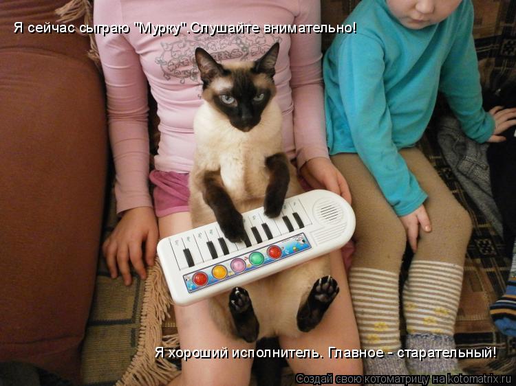 Я сейчас сыграю "Мурку".Слушайте внимательно! Я хороший исполнитель. Главное - старательный!... Котоматрица: Я сейчас сыграю "Мурку".Слушайте внимательно! Я хороший исполнитель. Главное - старательный!
