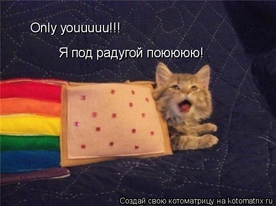 Only youuuuu!!! Я под радугой поюююю!... Котоматрица: Only youuuuu!!! Я под радугой поюююю!