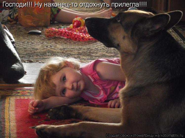 Господи!!! Ну наконец-то отдохнуть прилегла!!!!... Котоматрица: Господи!!! Ну наконец-то отдохнуть прилегла!!!!