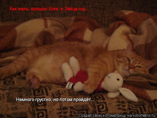 Как жаль, прошёл Кота и Зайца год... Немного грустно, но потом пройдёт...... Котоматрица: Как жаль, прошёл Кота и Зайца год... Немного грустно, но потом пройдёт...