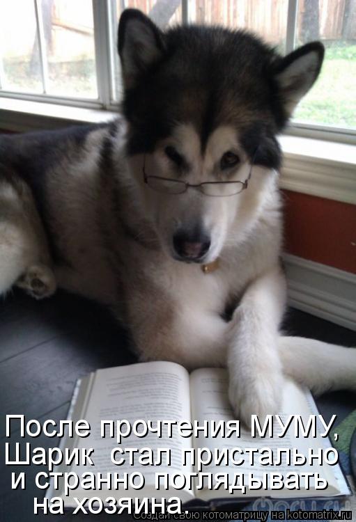 После прочтения МУМУ, Шарик стал пристально и странно поглядывать на хозяина.... Котоматрица: После прочтения МУМУ, Шарик стал пристально и странно поглядывать на хозяина.