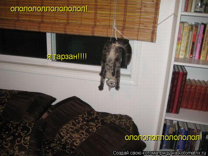 ололололлолололол! ололололлолололол! я тарзан!!!!... Котоматрица: ололололлолололол! ололололлолололол! я тарзан!!!!