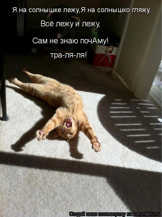 Я на солнышке лежу,Я на солнышко гляжу. Всё лежу и лежу, Сам не знаю почАму! тра-ля-ля!... Котоматрица: Я на солнышке лежу,Я на солнышко гляжу. Всё лежу и лежу, Сам не знаю почАму! тра-ля-ля!