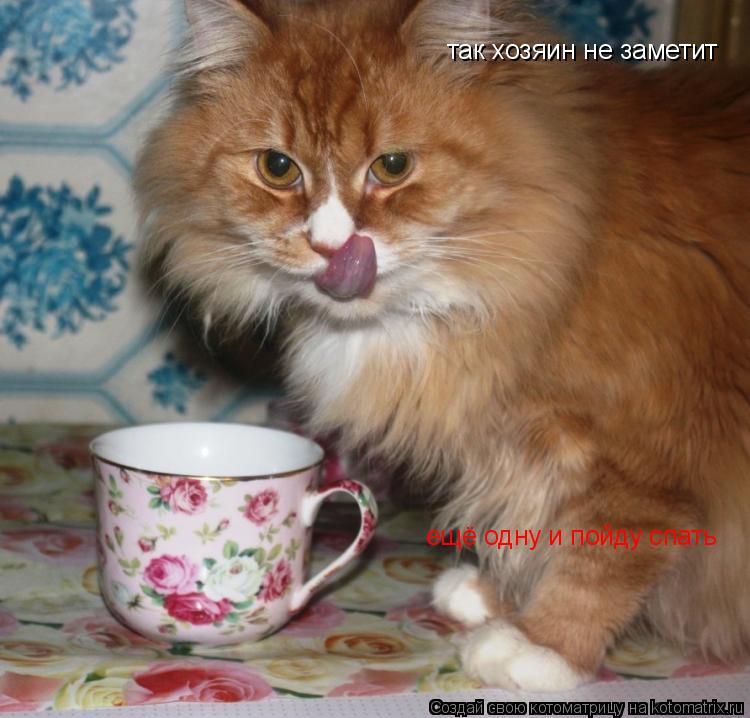 так хозяин не заметит ещё одну и пойду спать... Котоматрица: так хозяин не заметит ещё одну и пойду спать