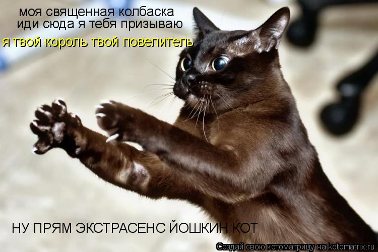 моя священная колбаска иди сюда я тебя призываю я твой король твой повелитель НУ ПРЯМ ЭКСТРАСЕНС ЙОШК... Котоматрица: моя священная колбаска иди сюда я тебя призываю я твой король твой повелитель НУ ПРЯМ ЭКСТРАСЕНС ЙОШКИН КОТ