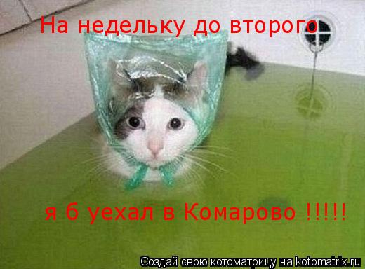 На недельку б до второва я б уехал в Комарова На недельку до второго я б уехал в Комарово !!!!!... Котоматрица: На недельку б до второва я б уехал в Комарова На недельку до второго я б уехал в Комарово !!!!!