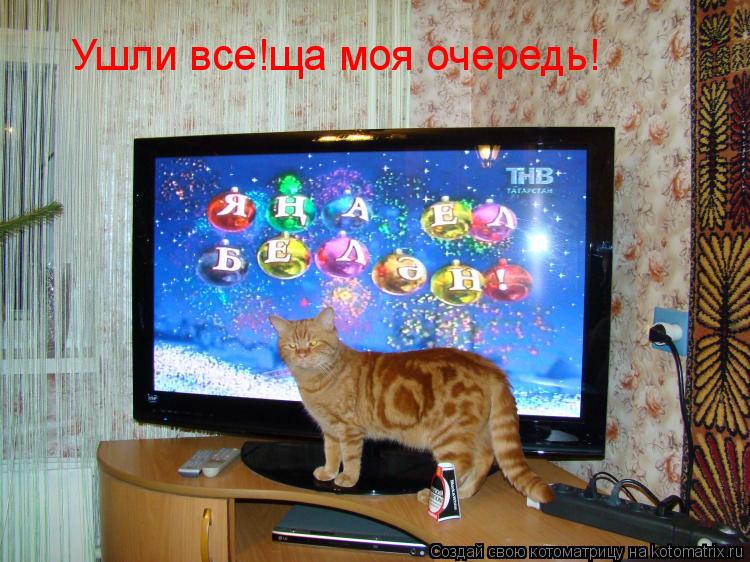 Ушли все!ща моя очередь!... Котоматрица: Ушли все!ща моя очередь!