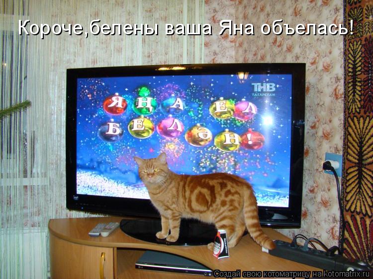 Короче,белены ваша Яна объелась!... Котоматрица: Короче,белены ваша Яна объелась!
