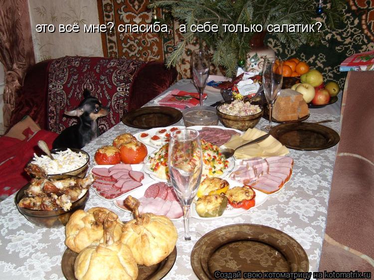 это всё мне? спасиба, а себе только салатик?... Котоматрица: это всё мне? спасиба, а себе только салатик?
