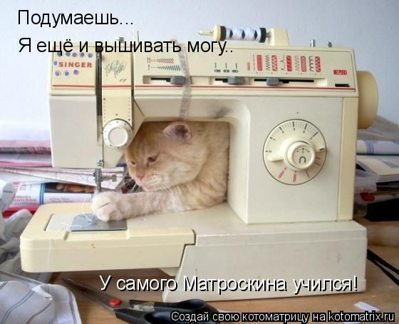 Подумаешь... Я ещё и вышивать могу.. У самого Матроскина учился!... Котоматрица: Подумаешь... Я ещё и вышивать могу.. У самого Матроскина учился!