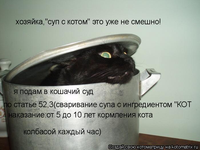 хозяйка,"суп с котом" это уже не смешно! я подам в кошачий суд по статье 52,3(сваривание супа с ингре... Котоматрица: хозяйка,"суп с котом" это уже не смешно! я подам в кошачий суд по статье 52,3(сваривание супа с ингредиентом "КОТ наказание:от 5 до 10 лет кормлен