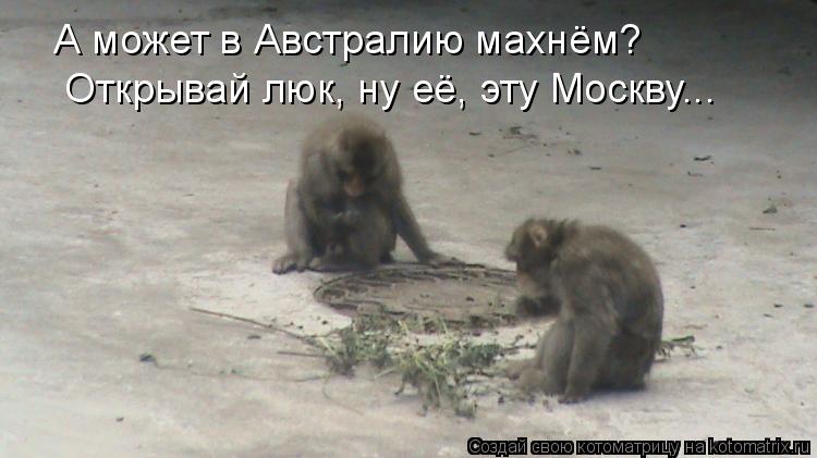 А может в Австралию махнём? Открывай люк, ну её, эту Москву...... Котоматрица: А может в Австралию махнём? Открывай люк, ну её, эту Москву...
