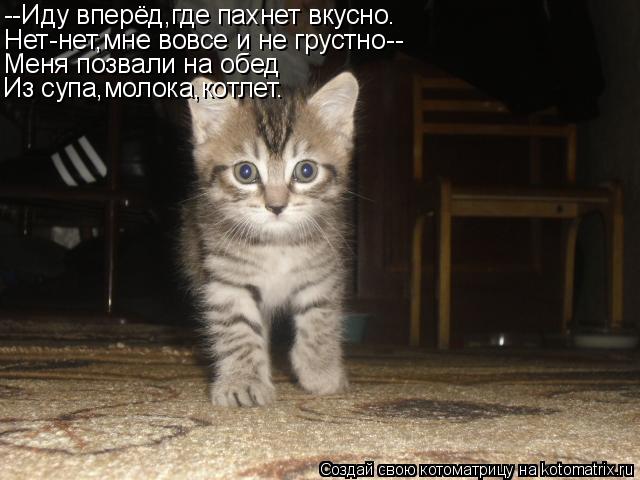 Котоматрица: --Иду вперёд,где пахнет вкусно. Нет-нет,мне вовсе и не грустно-- Меня позвали на обед Из супа,молока,котлет.