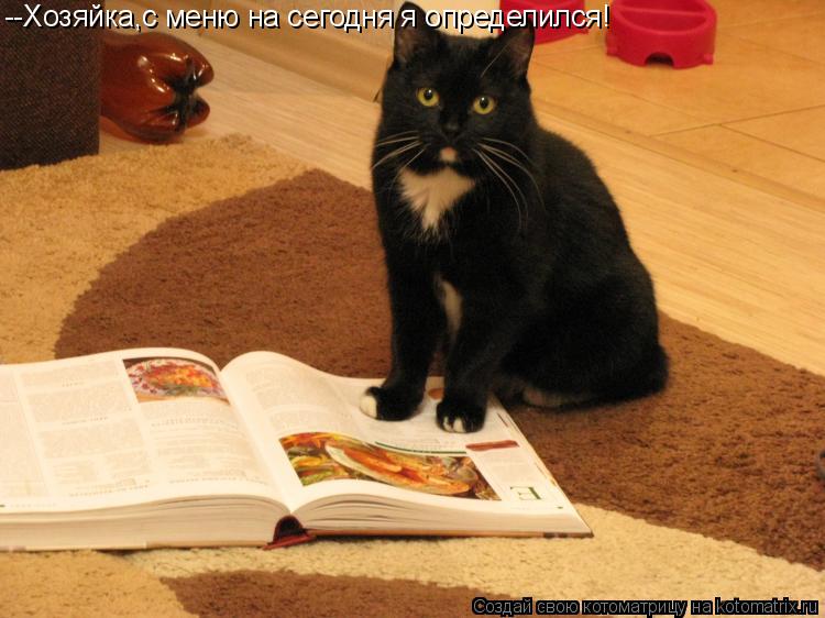 Котоматрица: --Хозяйка,с меню на сегодня я определился!