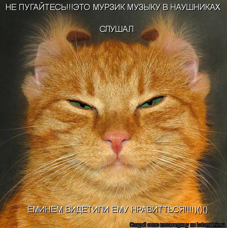 Котоматрица: СЛУШАЛ НЕ ПУГАЙТЕСЬ!!!ЭТО МУРЗИК МУЗЫКУ В НАУШНИКАХ  ЕМИНЕМ ВИДЕТИЛИ ЕМУ НРАВИТТЬСЯ!!!!)()()