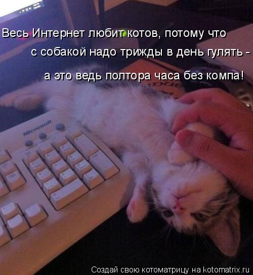 Котоматрица: Весь Интернет любит котов, потому что    с собакой надо трижды в день гулять -     а это ведь полтора часа без компа!