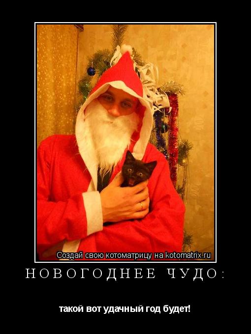 новогоднее чудо: такой вот удачный год будет!... Котоматрица: новогоднее чудо: такой вот удачный год будет!