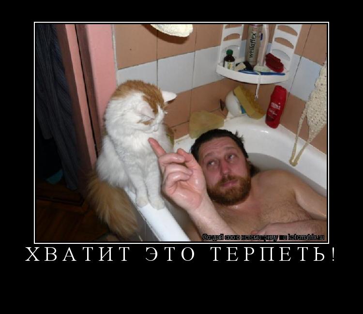 Хватит это терпеть! ... Котоматрица: Хватит это терпеть!