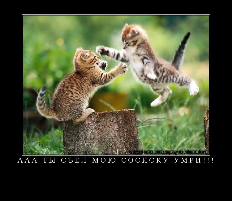 Котоматрица: ААА Ты съел мою Сосиску УМРИ!!! 