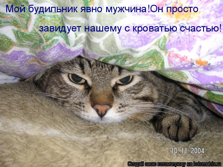 Котоматрица: Мой будильник явно мужчина!Он просто   завидует нашему с кроватью счастью!